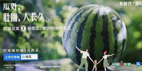 打女拳不只是打戏！揭秘背后真实故事和魅力